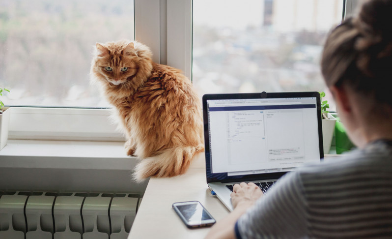 Homeoffice