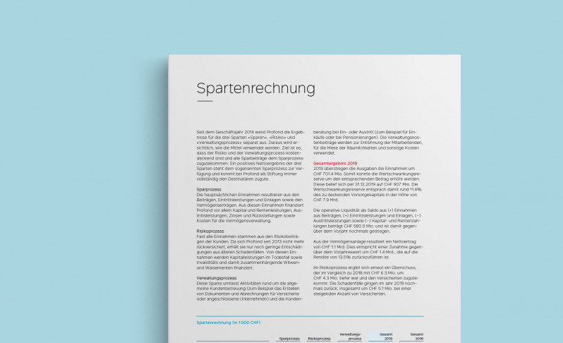 Profond Spartenrechnung 2019